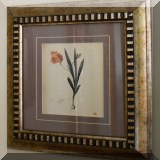 A16. Framed botanical print. 